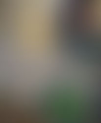 The Health Benefits of Bivalves: Oysters, Clams, Mussels, and Scallops