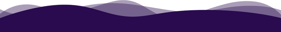Dark Purple Strip for Footer_1_edited.png