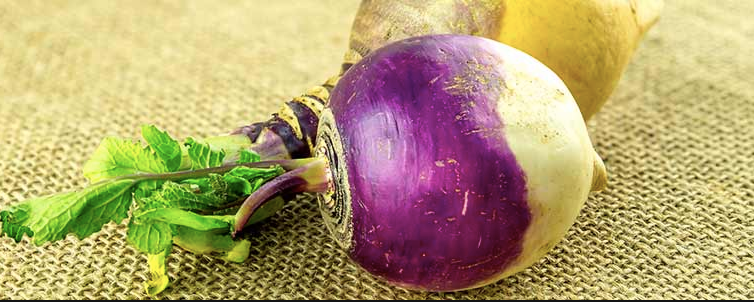 Roasted Swede with Maple Syrup and Thyme
