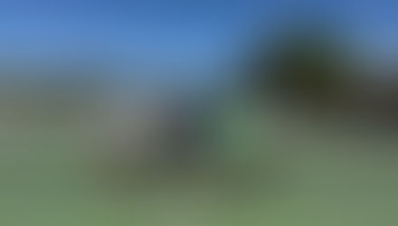 Cedric, Ethan, Caleb, Princeton et. al. win 18s Division 1 ;-)