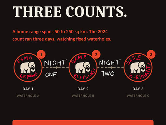 The Elephants That Would Have to Exist