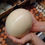 Thumbnail: Ostrich Egg بيض نعام