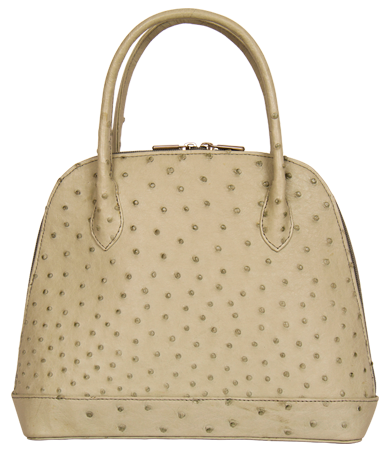 Thumbnail: Ostrich Leather جلد نعام