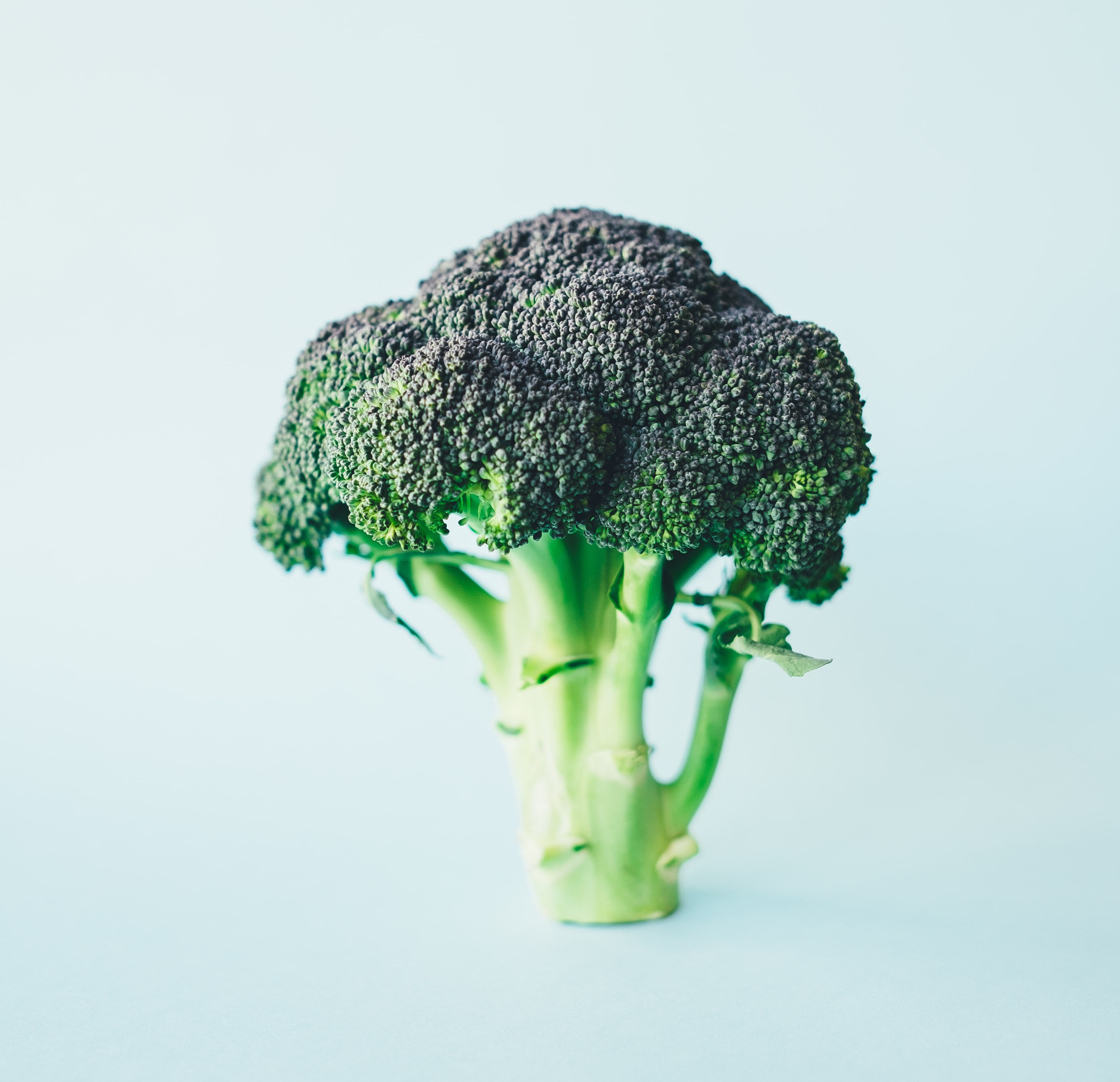 Fiche Nutritionnelle : Brocoli