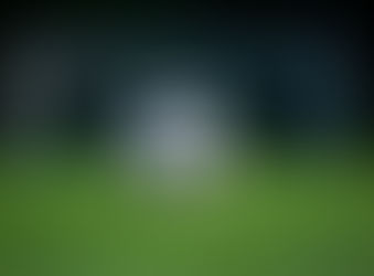 Good evening and I pray you're having a good one with the spring finally settling in. As you kno