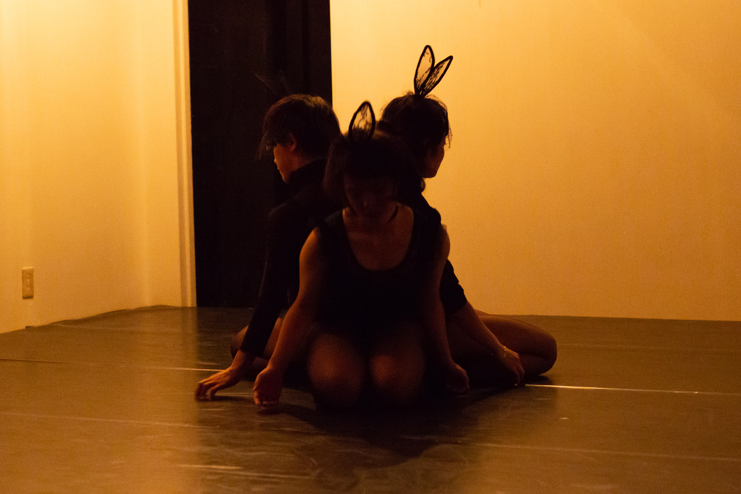 The Girl in Rabbit's skin