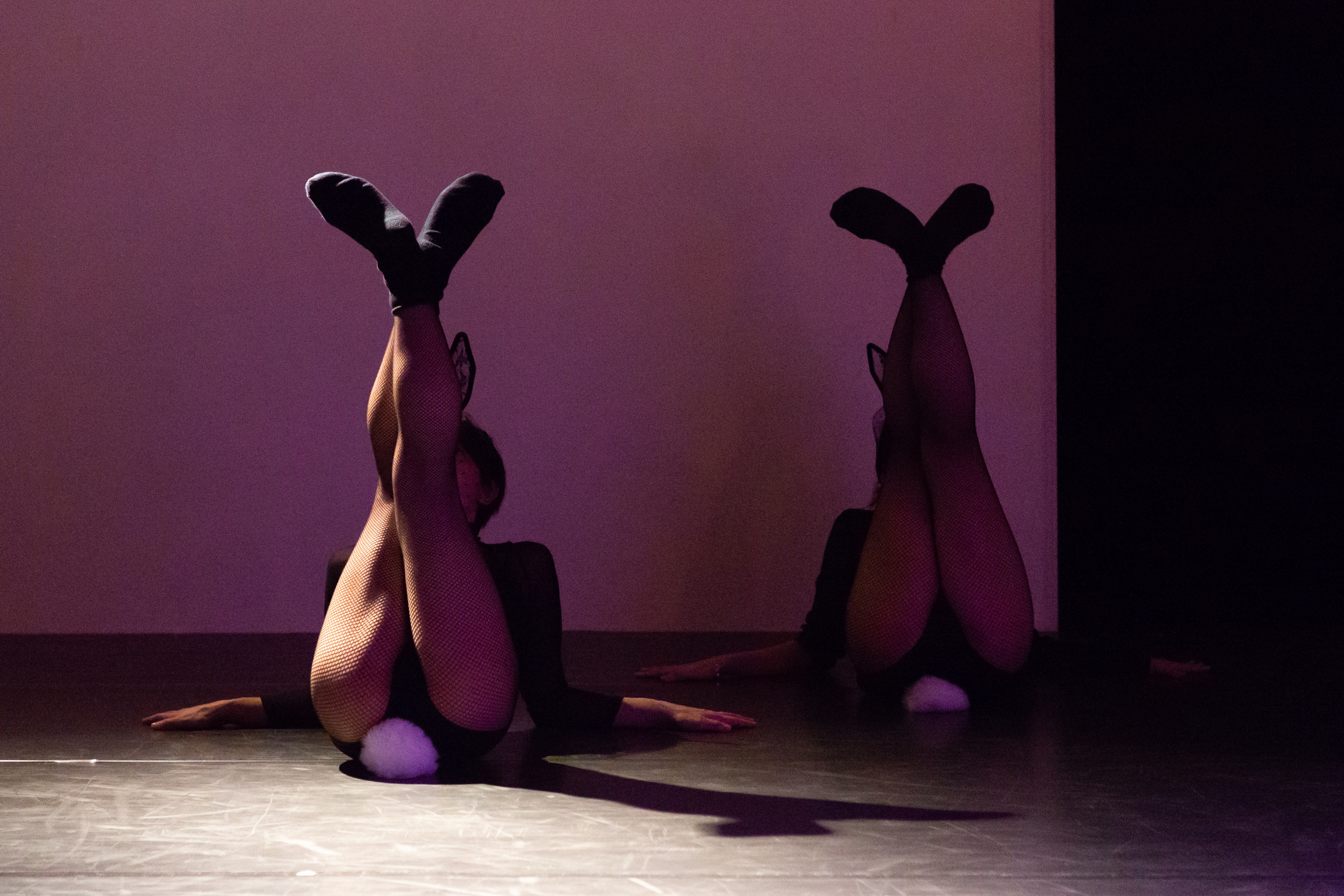 The Girl in Rabbit's skin