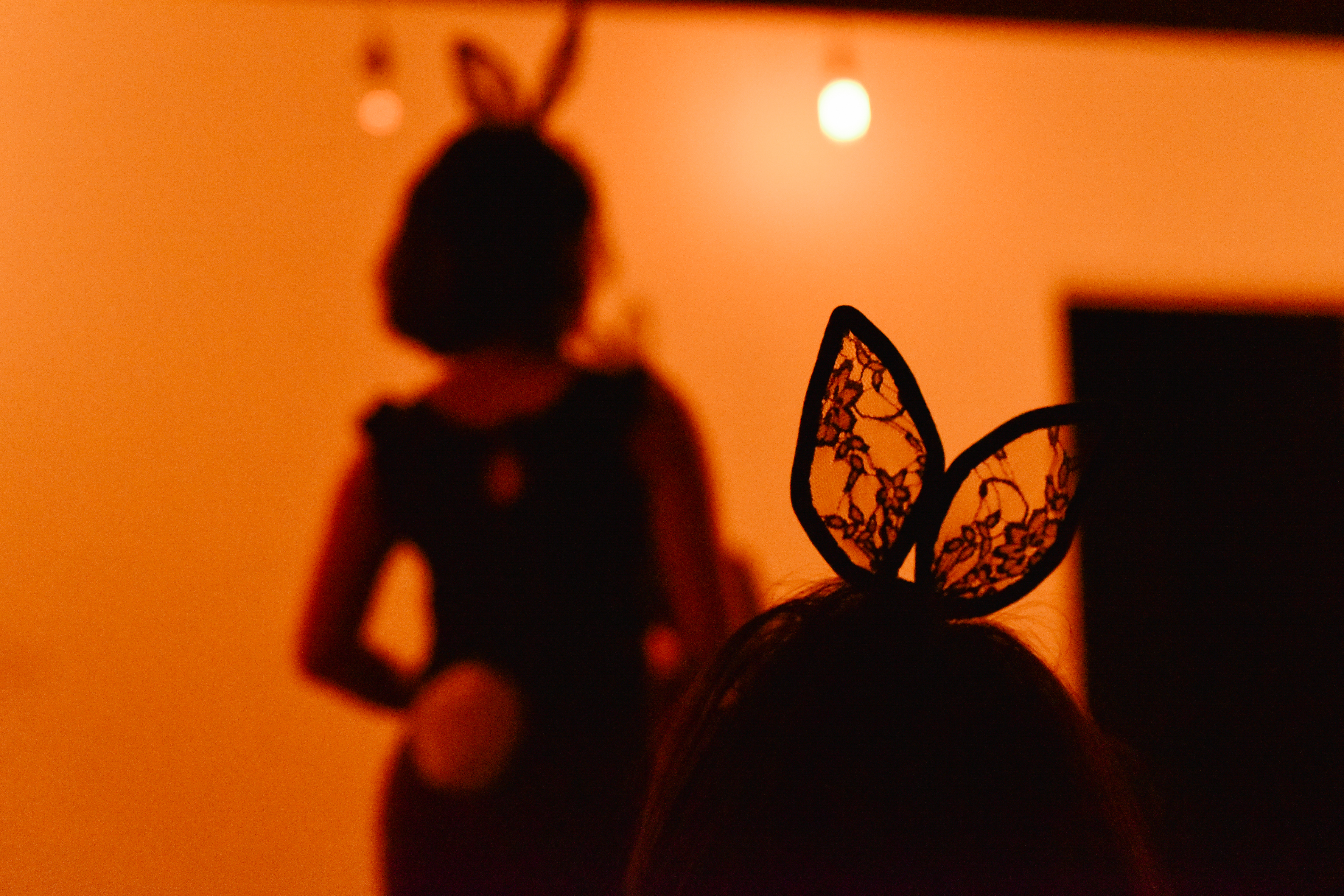 The Girl in Rabbit's skin