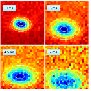 Polarization gradient cooling is successfully done for Cs MOT