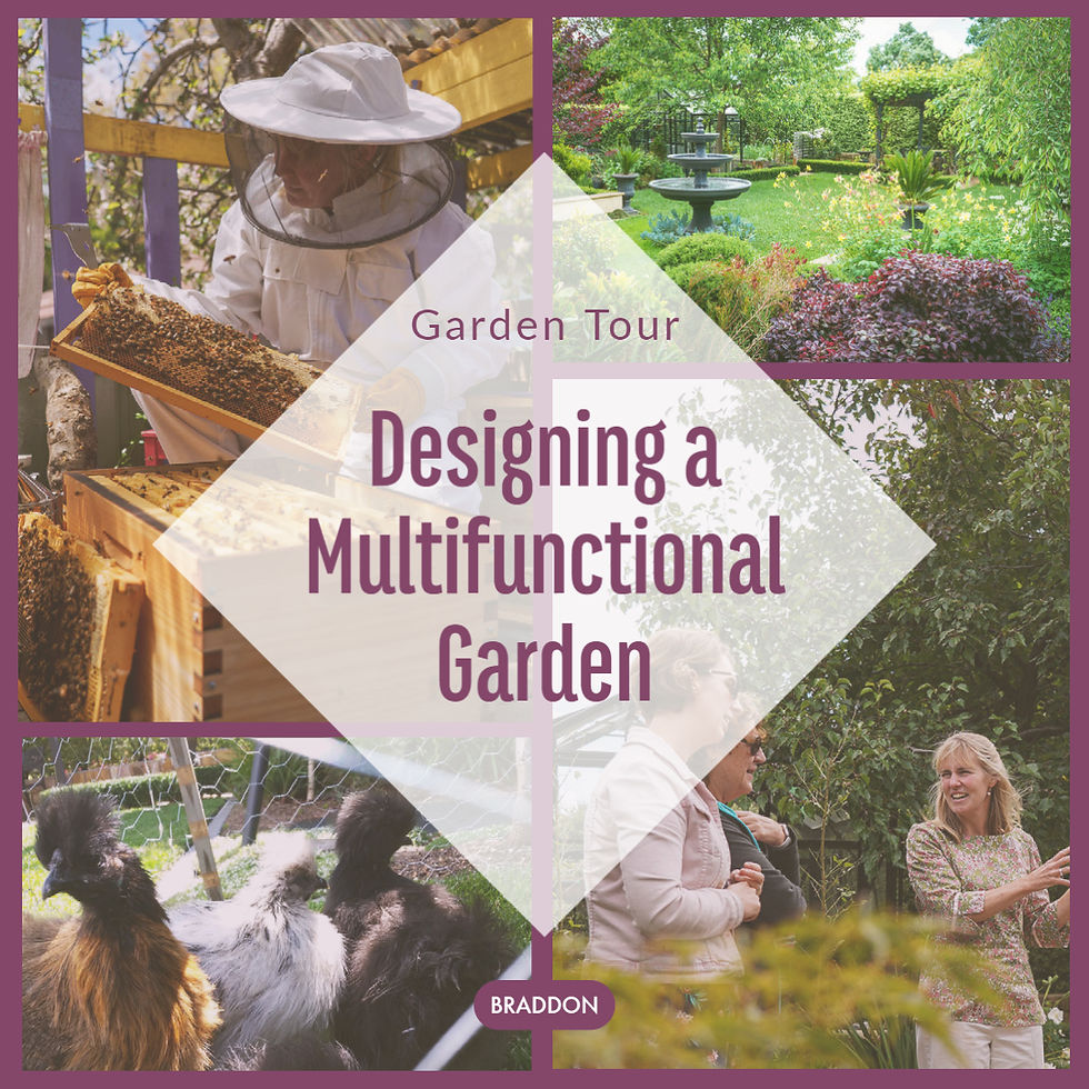 Garden Tour: Designing a Multi-functional Garden (in partnership with Canberra Environment Centre)