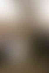 Wedding Ceremony under Oak Tree