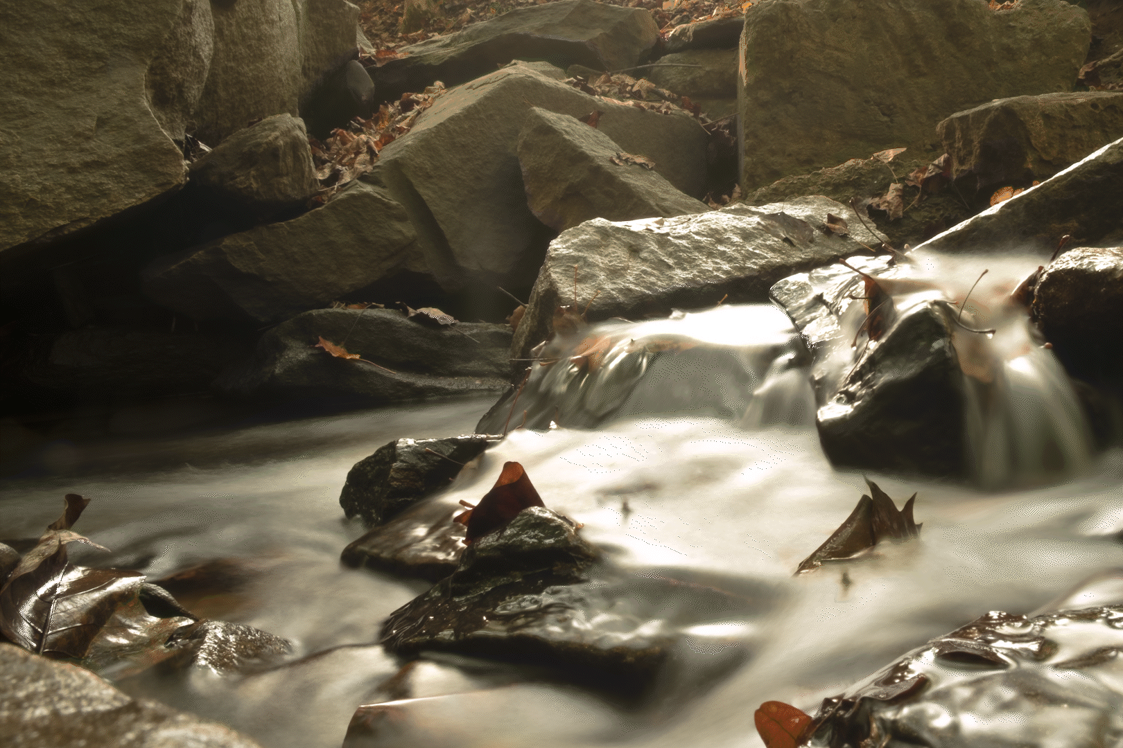 Fishin1.gif