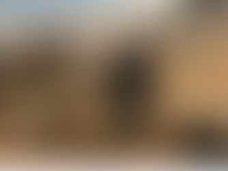 Sitkagreni Sælingsdalstungu