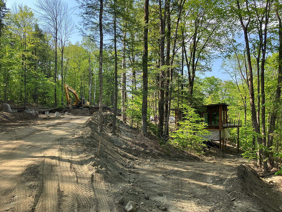 Heavy machinery clearing a wooded lot and grading a sloped driveway near a modern cabin in Southern, VT