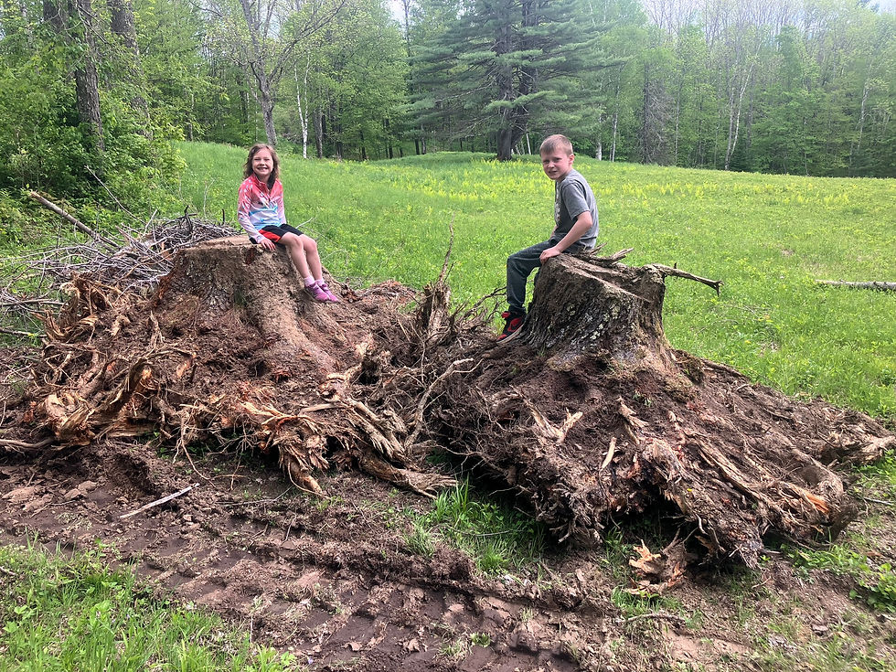 Two children sitting on large excavated tree stumps in a green Vermont field at Legacy Earthworks site
