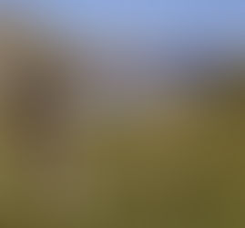 Should I take a left or right?