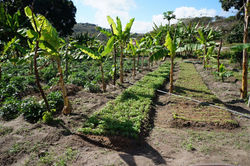 Projeto Ciclos I, Tupanatinga