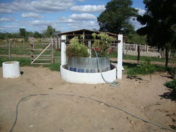 Projeto Ciclos II, Caetés