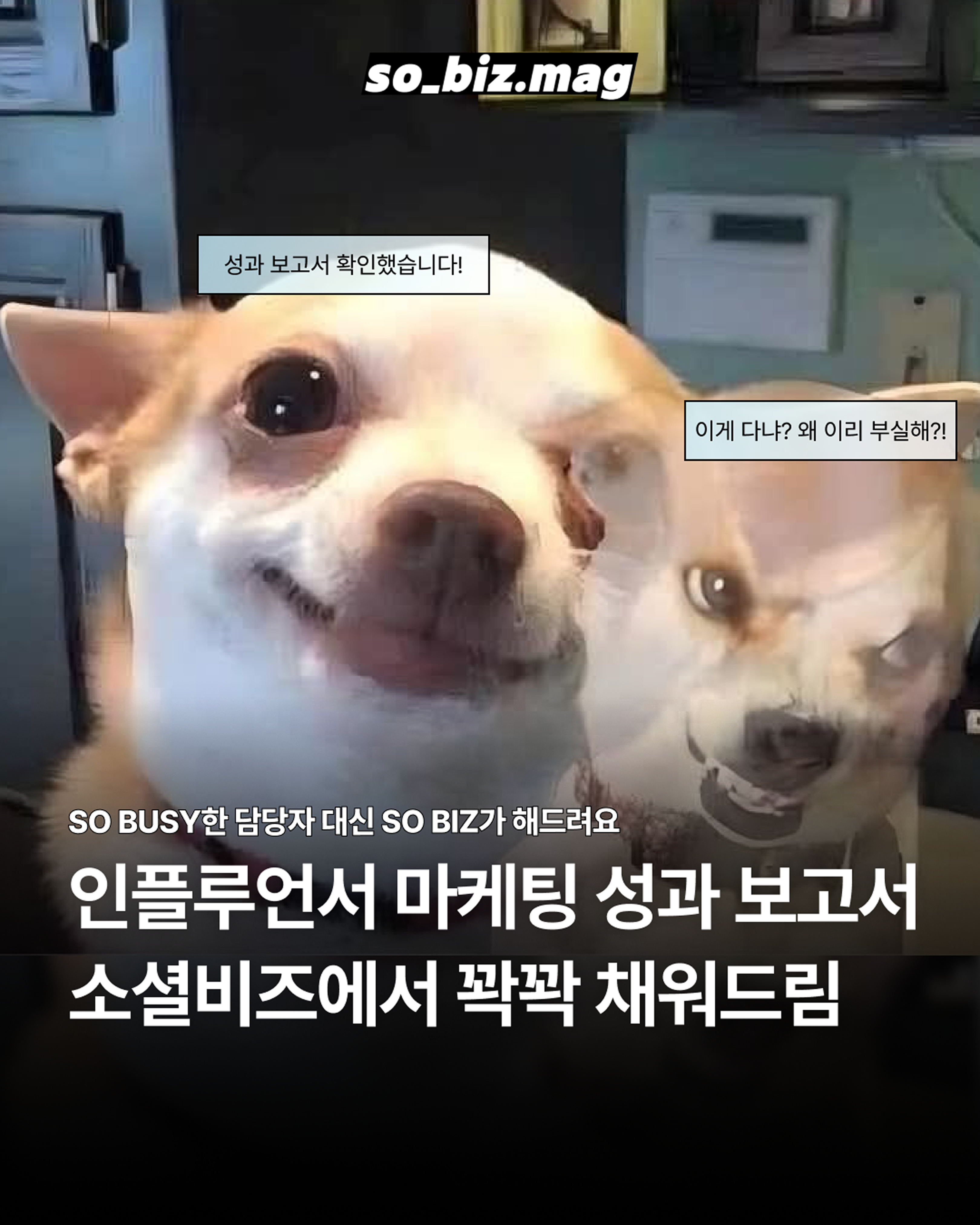 광고주 홍보 커버 (1) 2.png
