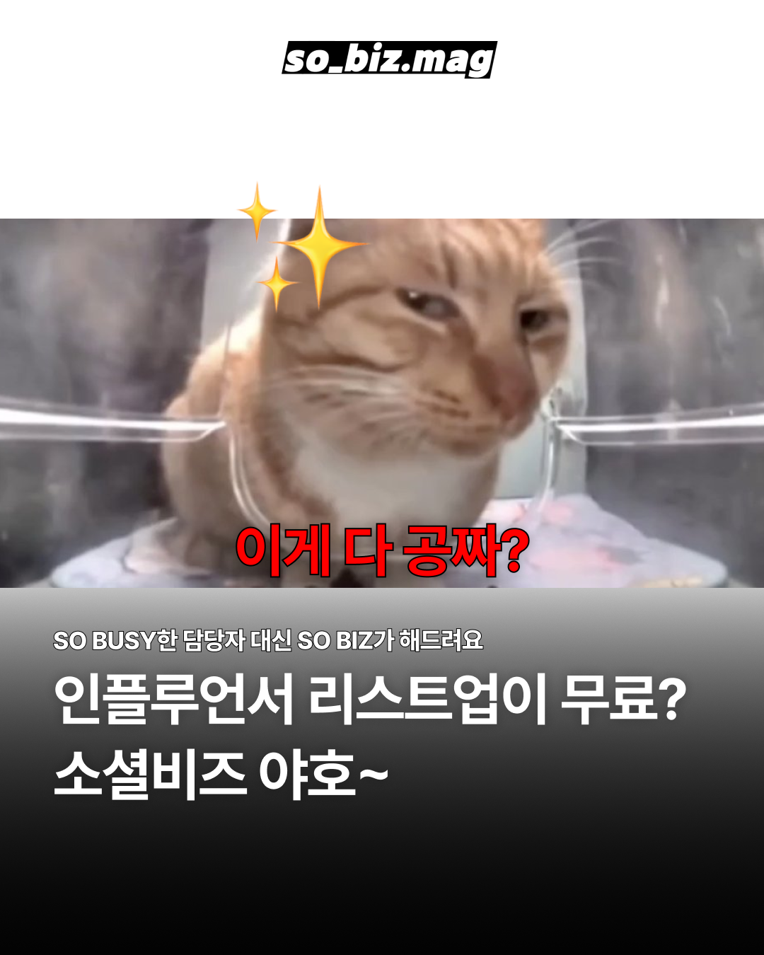 광고주 홍보 커버.png