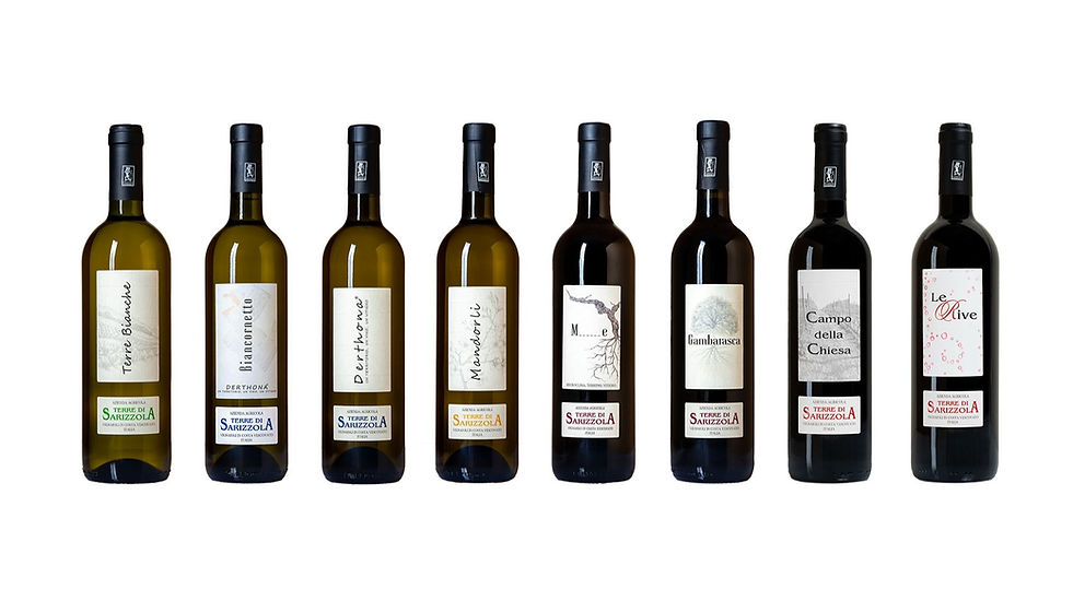 Terre di Sarizzola - I nostri vini