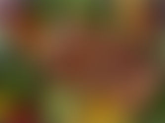 Nutrient Depletion in Soil Leads to Poor Health. 