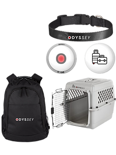 Untitled design-5.png