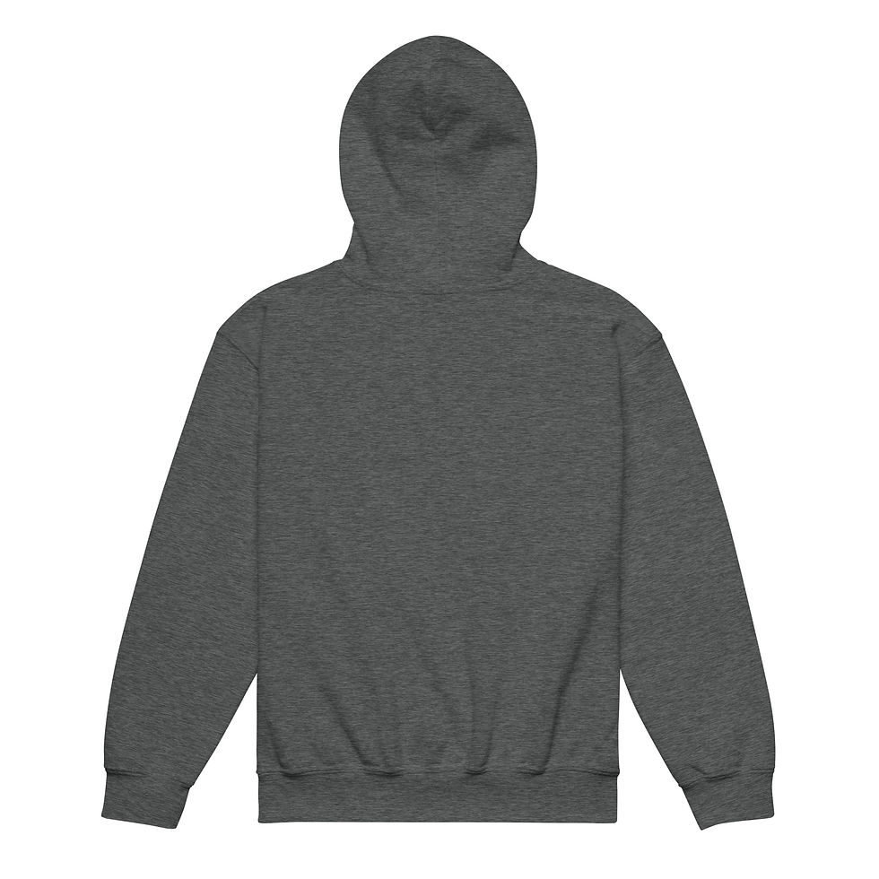 Thumbnail: Created to Shine - Youth heavy blend hoodie