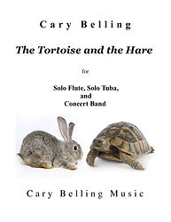 TortoiseConcert band Cover.jpg
