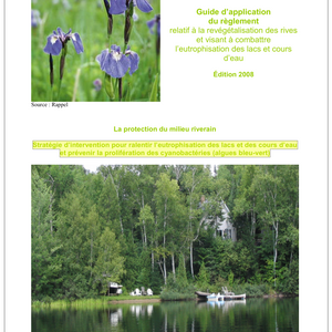 Guide d’application du règlement relatif à la revégétalisation des rives