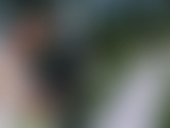 Loisa Andalio and Ronnie Alonte tie the knot in private ceremony