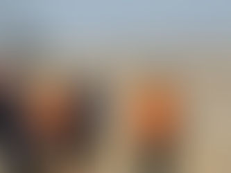 Vietnam evacuates thousands and shuts airports as Typhoon Bualoi nears landfall