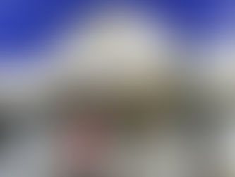 BTr to raise P215 billion from bond market