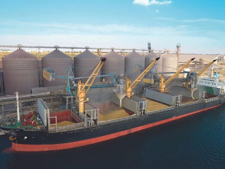 Russian Grain Vessel Found After Drone Attack, Towed to Shore