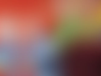 The Christmas Season has begun