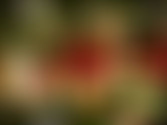 The best way to sell Christmas ornaments