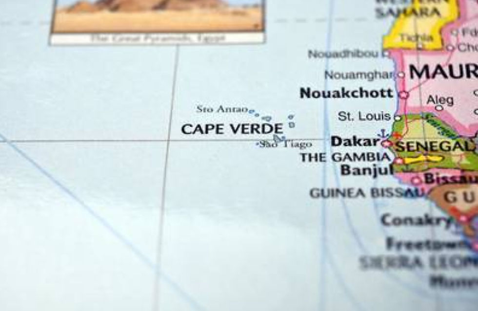 Hantavirus Outbreak on Cruise Ship Likely From Human to Human Transmission