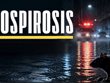 Combatting Leptospirosis in the Philippines