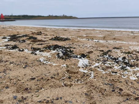Casualty at Port of Tyne Caused Large Release of Plastic Nurdles