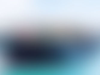 MSC to Offload All Cargo Bound for Gulf