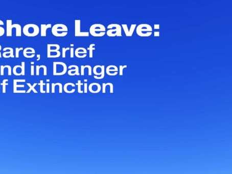 Shore Leave: Rare, Brief and in Danger of Extinction 