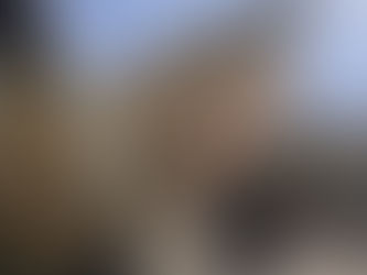 At least 265 dead in India plane crash, one passenger survives