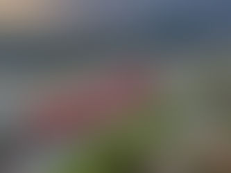 All systems go for Panama Canal’s priority passage program for dual-fuel vessels