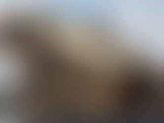 Hopes Fade for Bright Start of 2026 for Ship Recyclers