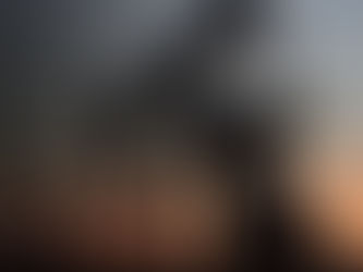 Oil falls on report of IEA proposing biggest oil release ever