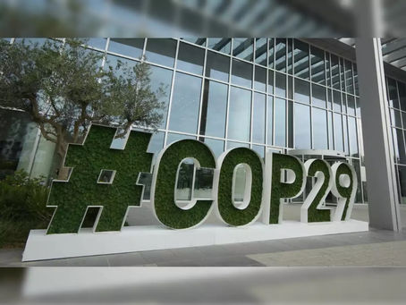 World approves UN rules for carbon trading between nations at COP29 