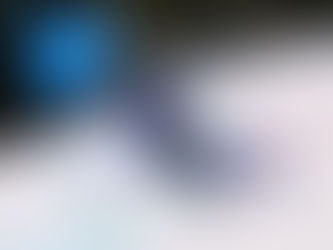 Filipino alpine skier Ceccarelli ends up 54th in Winter Olympics giant slalom