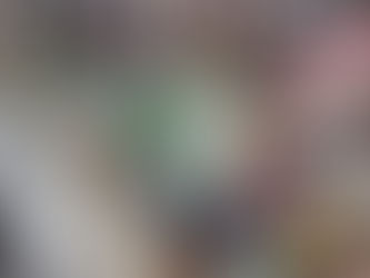 Inflation slows to 1.5 percent in November