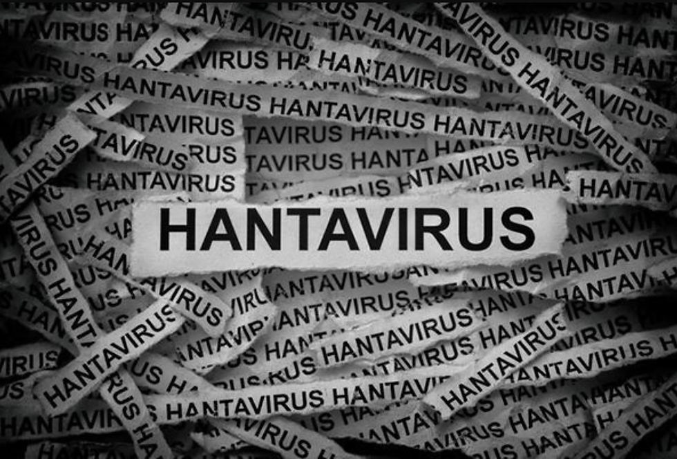 Hantavirus explained: What to know after the cruise ship outbreak