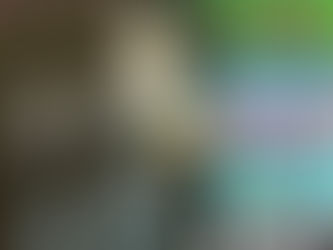 Why Dolly de Leon couldn’t say no to ‘The Heidi Fleiss Story’